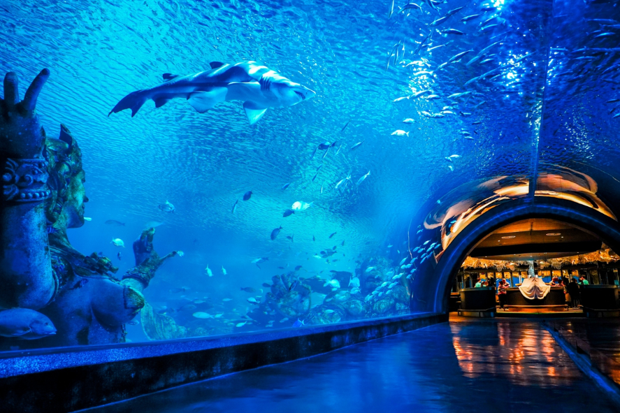 Aquaria Phuket